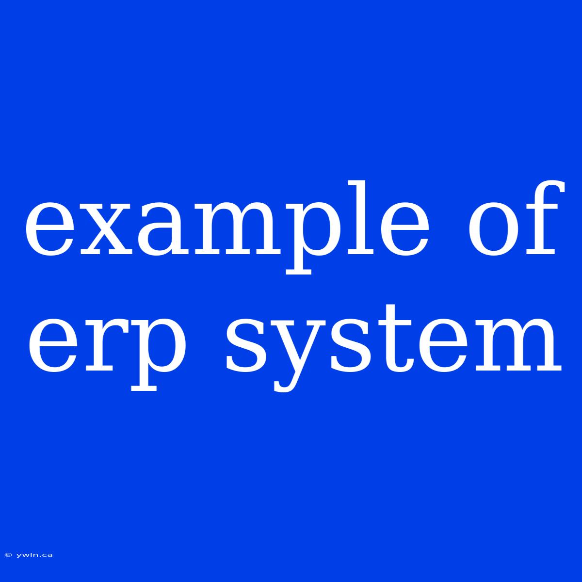 Example Of Erp System