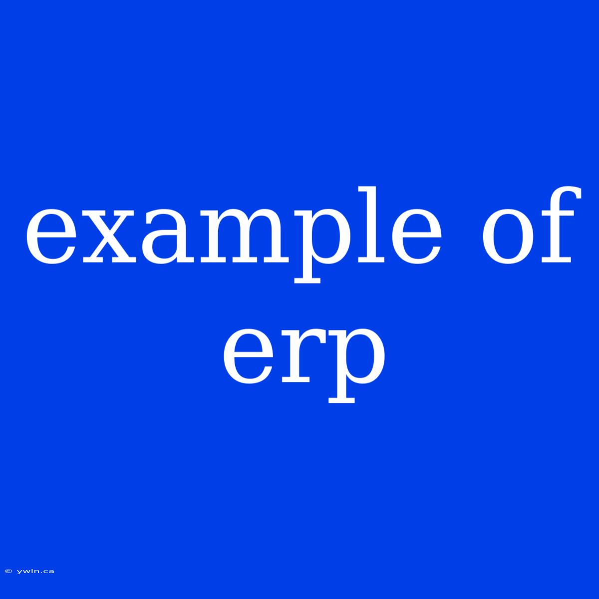 Example Of Erp