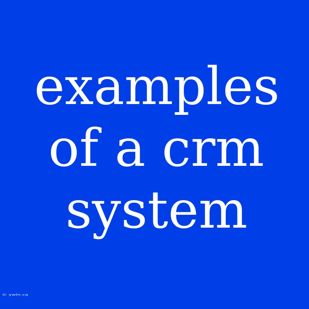 Examples Of A Crm System