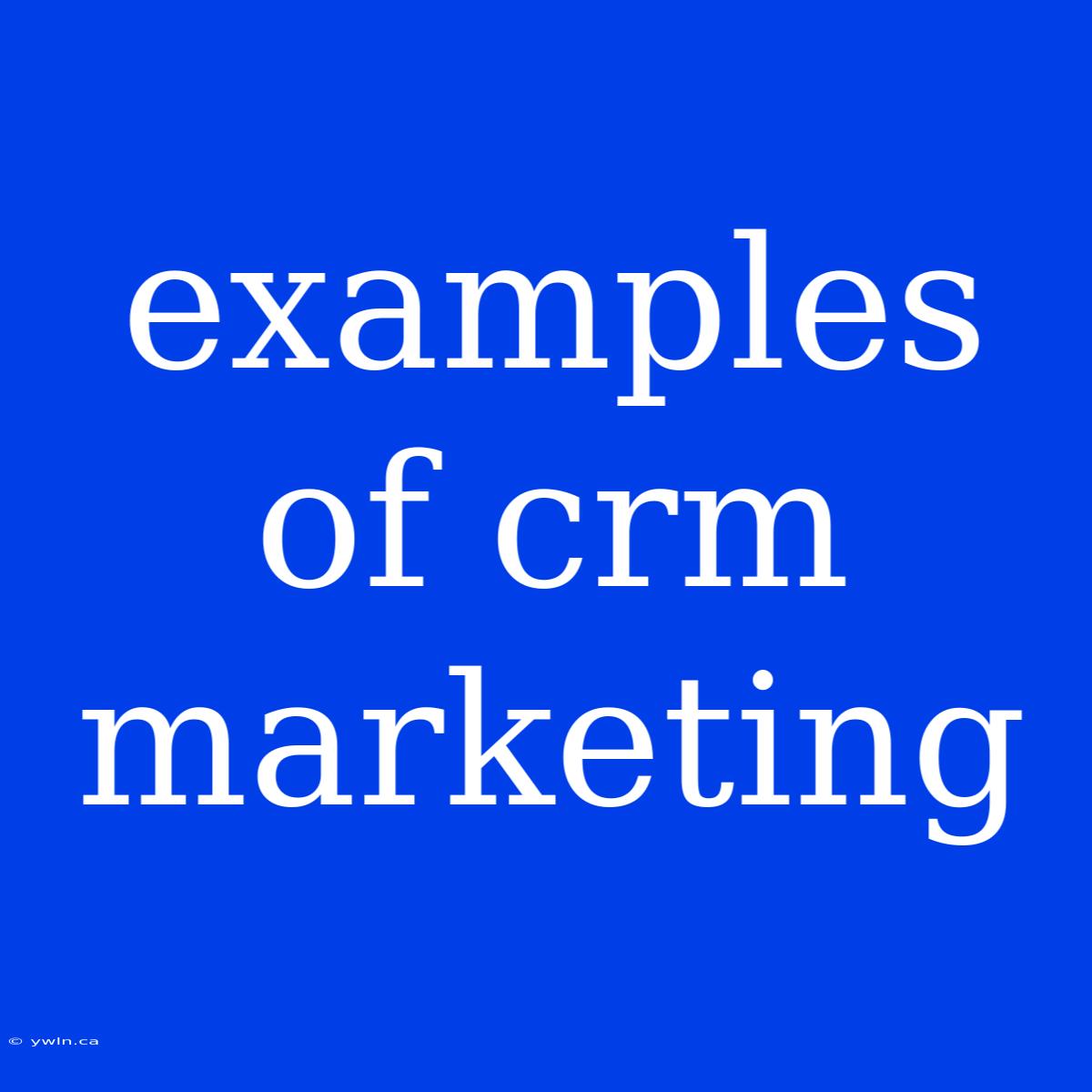 Examples Of Crm Marketing