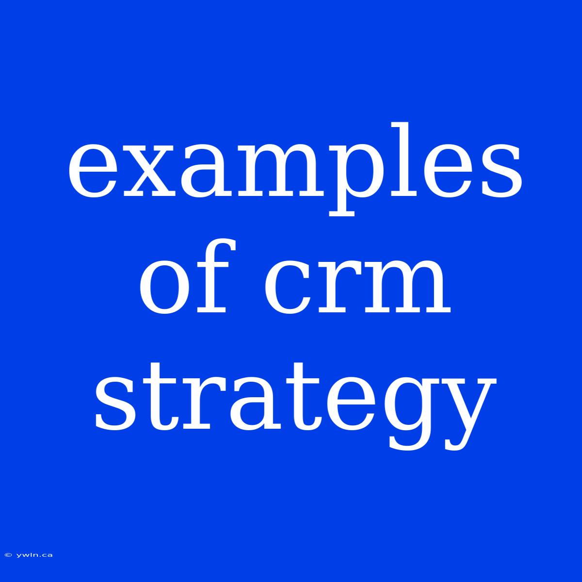 Examples Of Crm Strategy