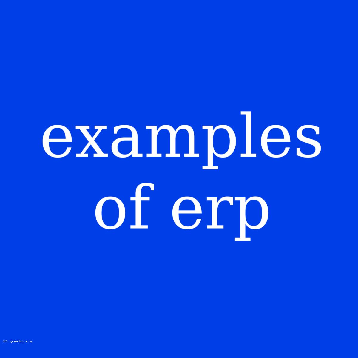 Examples Of Erp