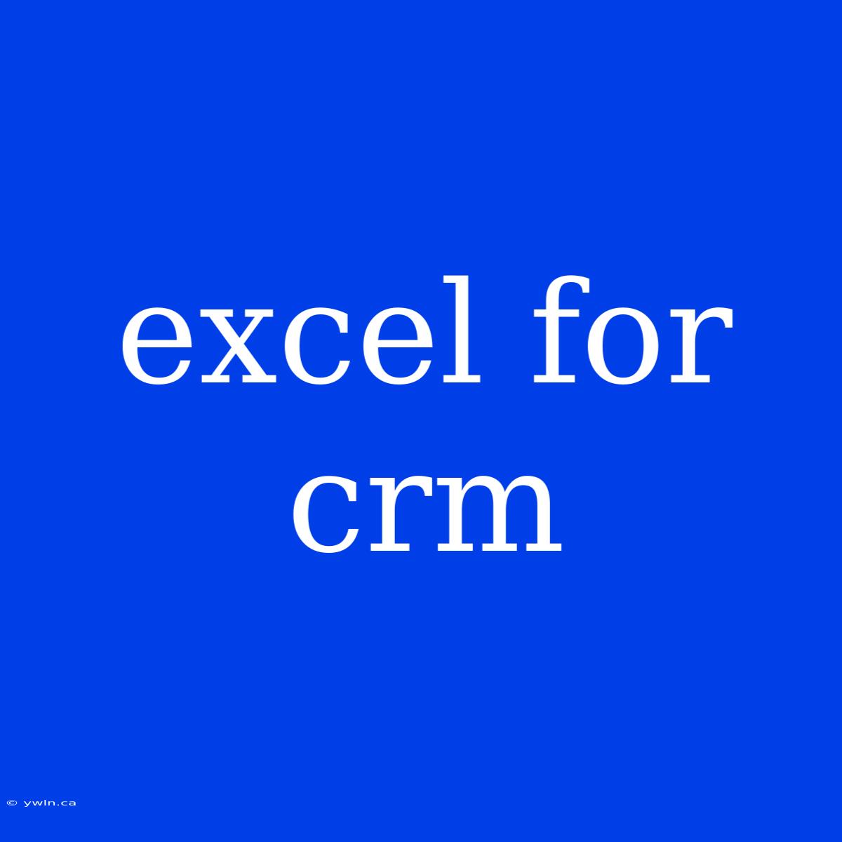 Excel For Crm