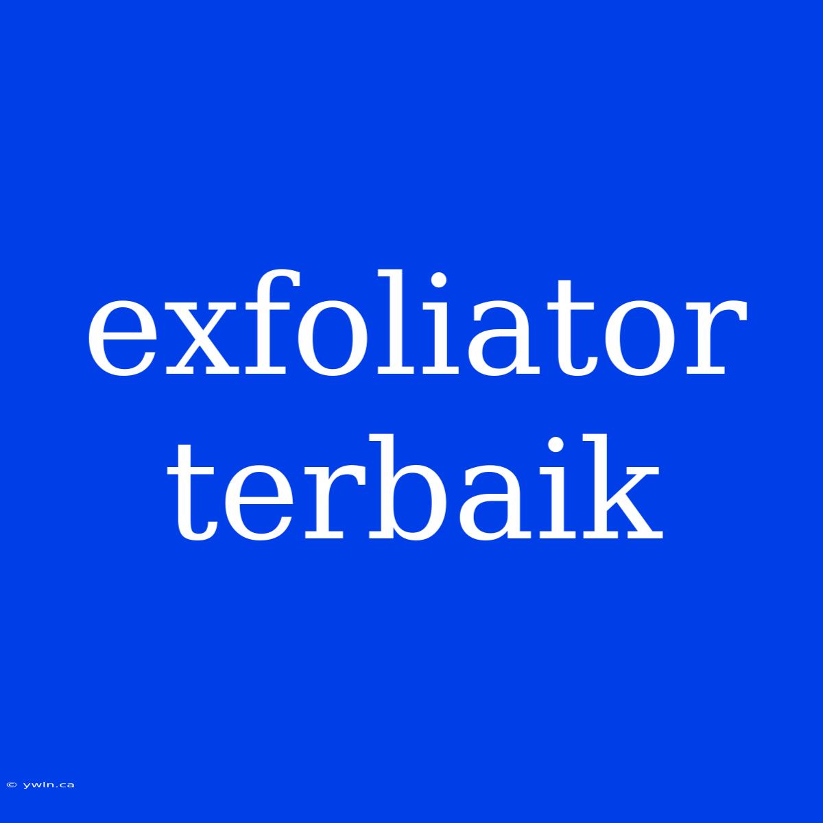 Exfoliator Terbaik