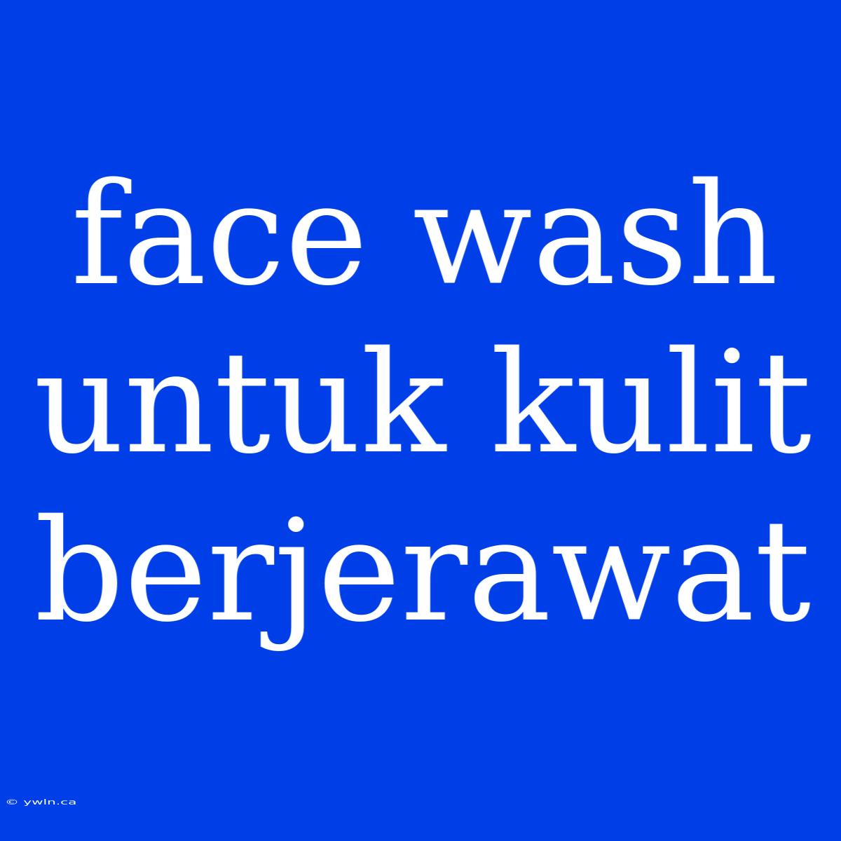 Face Wash Untuk Kulit Berjerawat