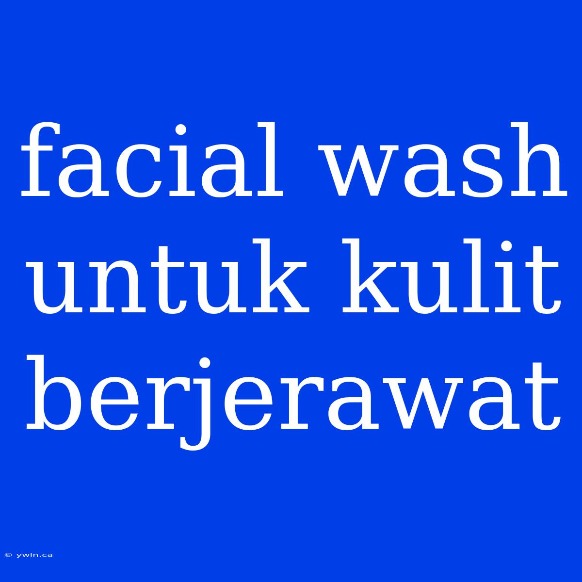 Facial Wash Untuk Kulit Berjerawat