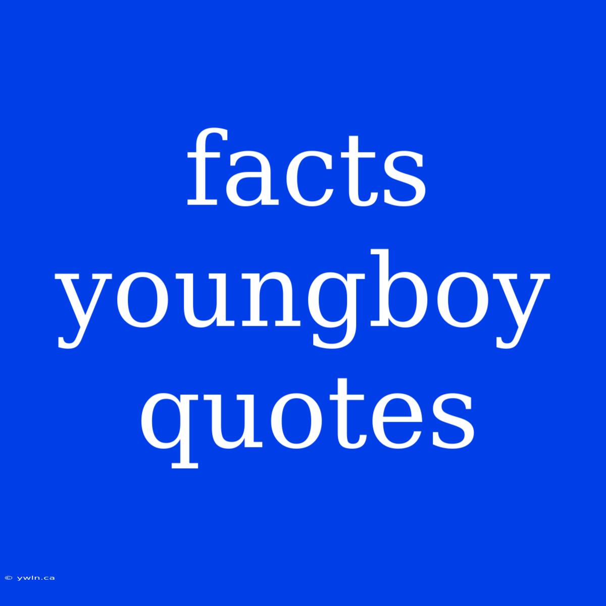 Facts Youngboy Quotes