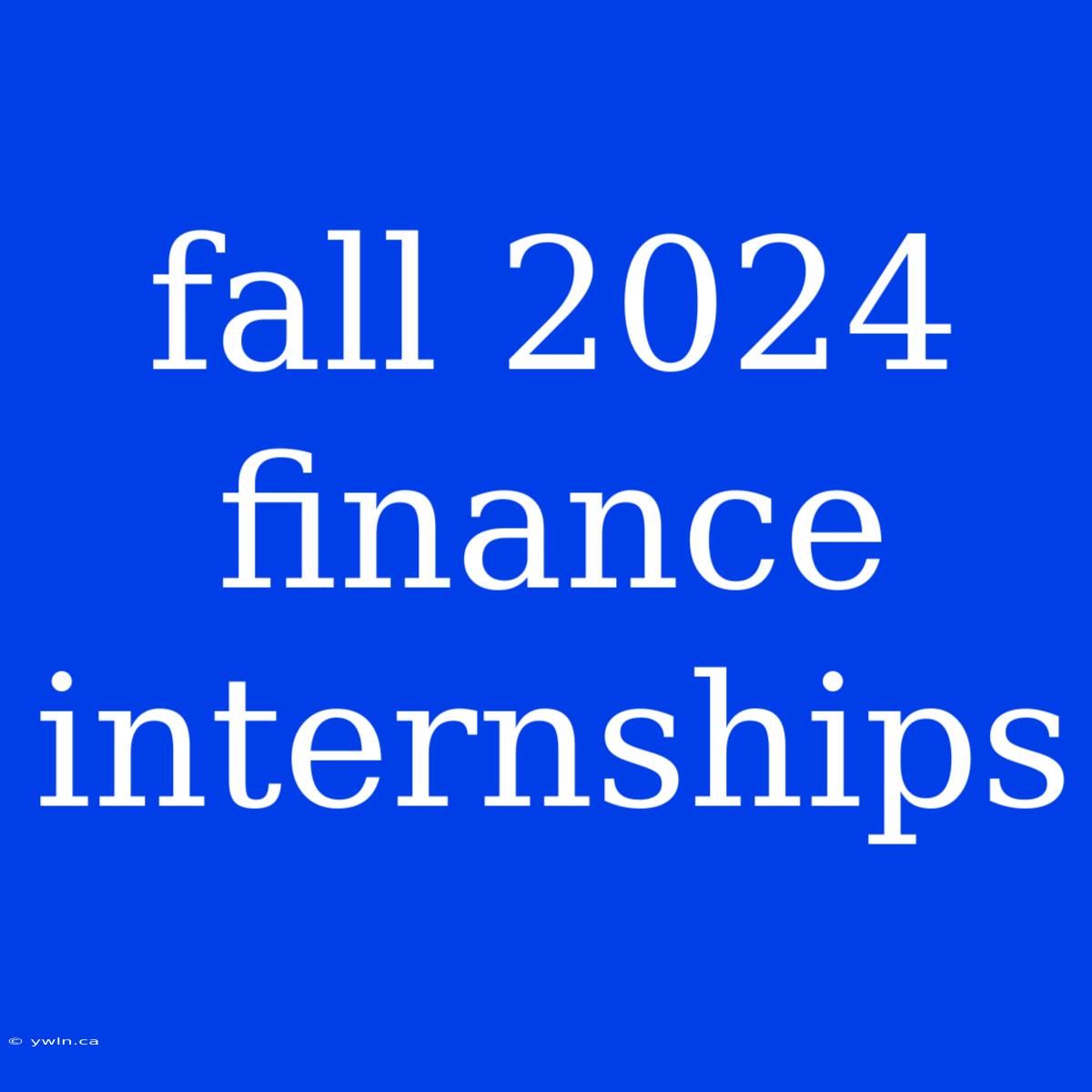 Fall 2024 Finance Internships