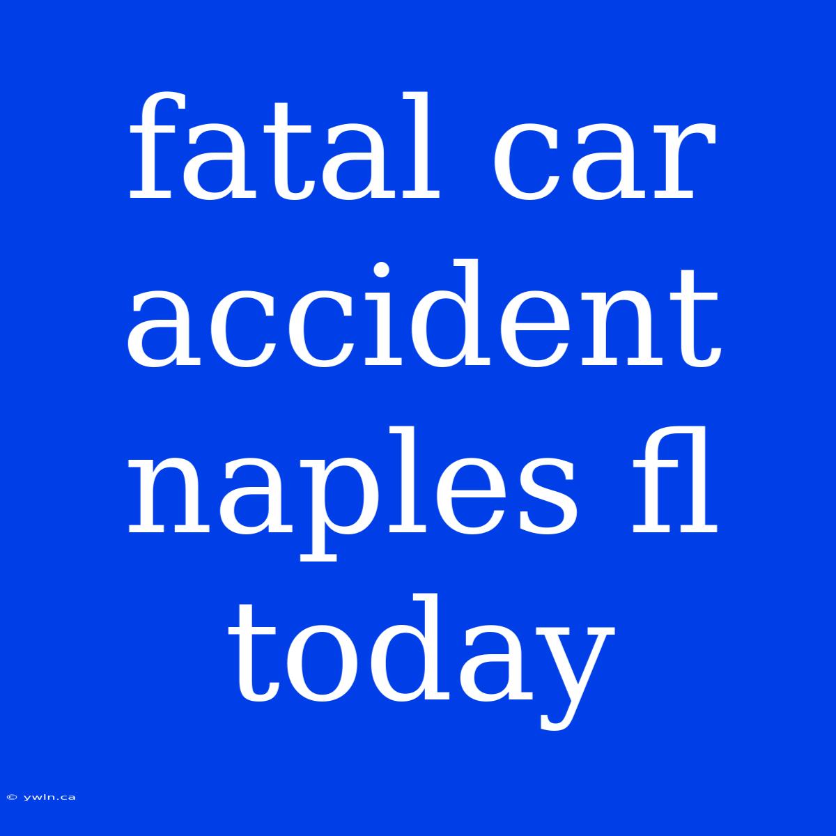 Fatal Car Accident Naples Fl Today