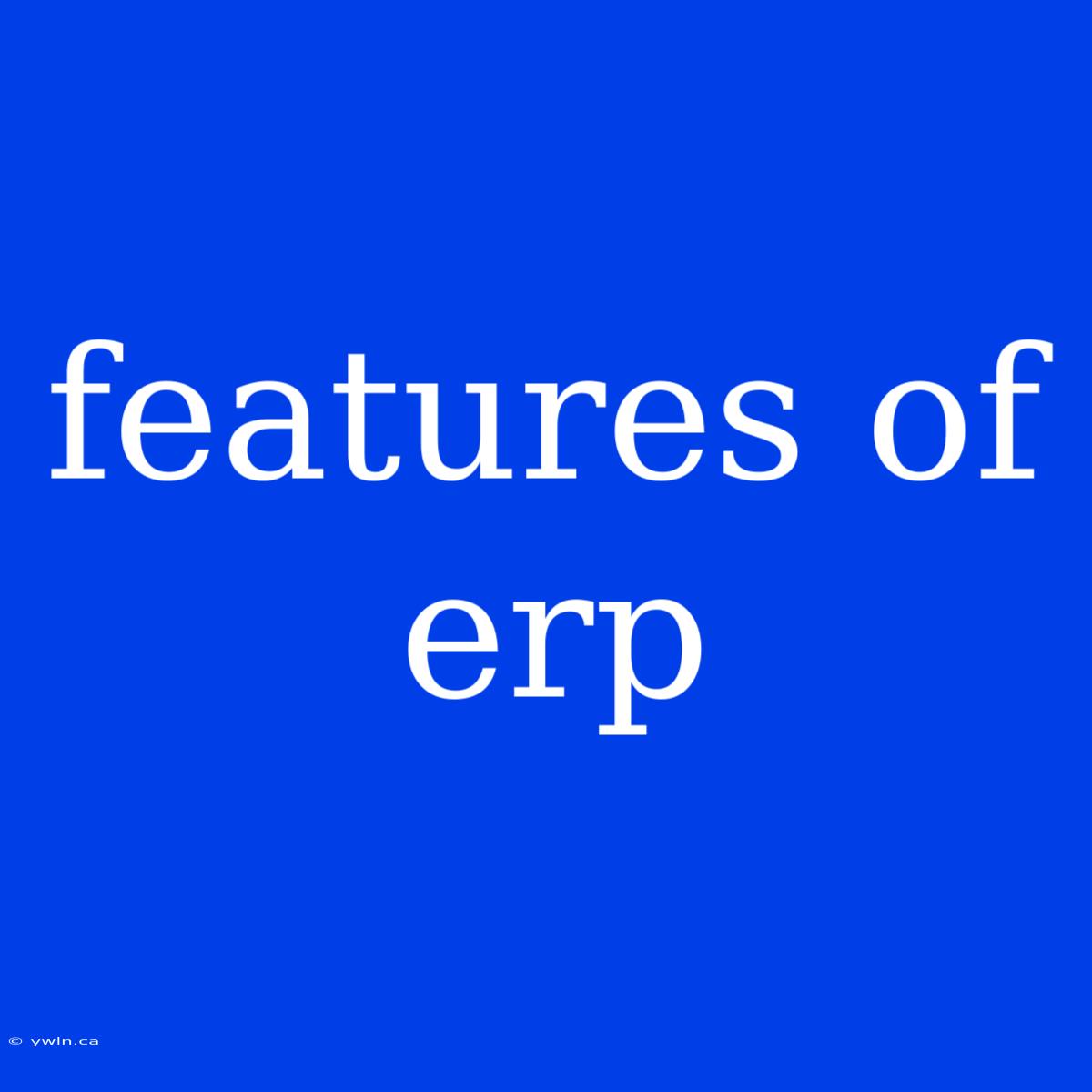 Features Of Erp