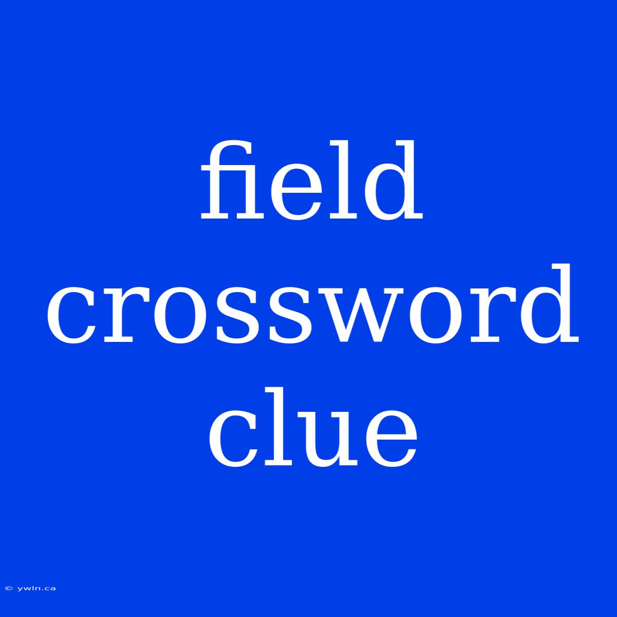 Field Crossword Clue