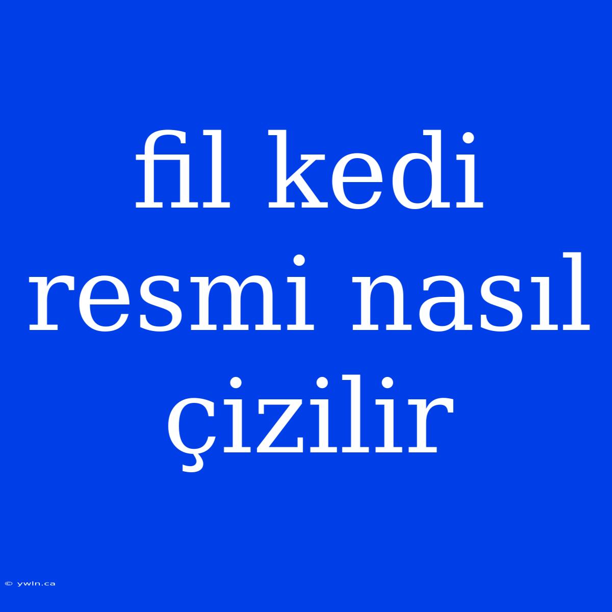 Fil Kedi Resmi Nasıl Çizilir