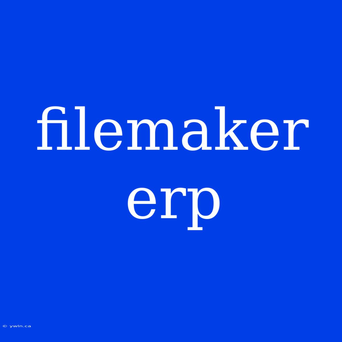 Filemaker Erp