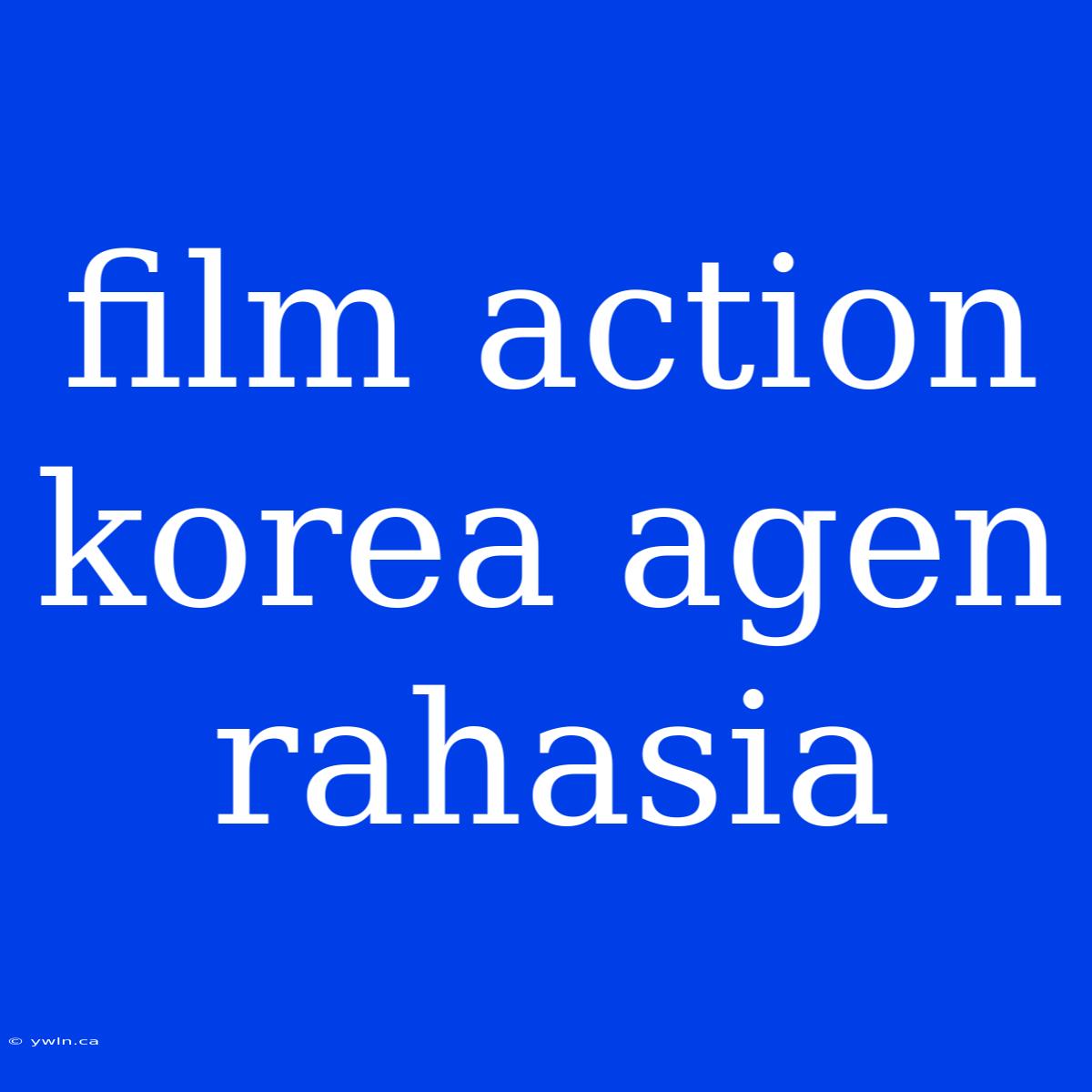 Film Action Korea Agen Rahasia