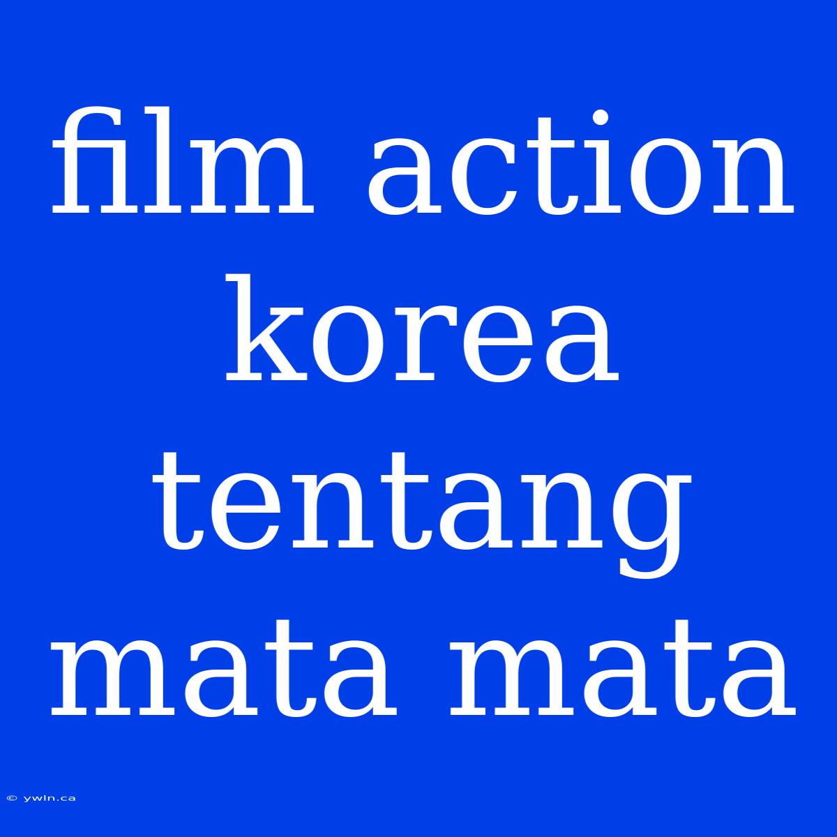 Film Action Korea Tentang Mata Mata