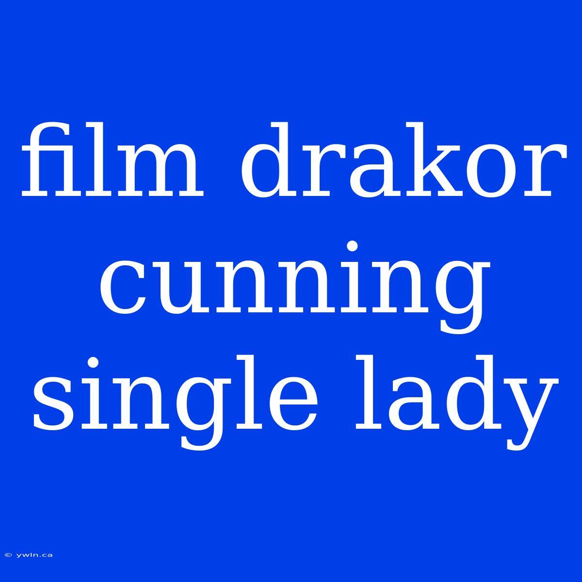 Film Drakor Cunning Single Lady