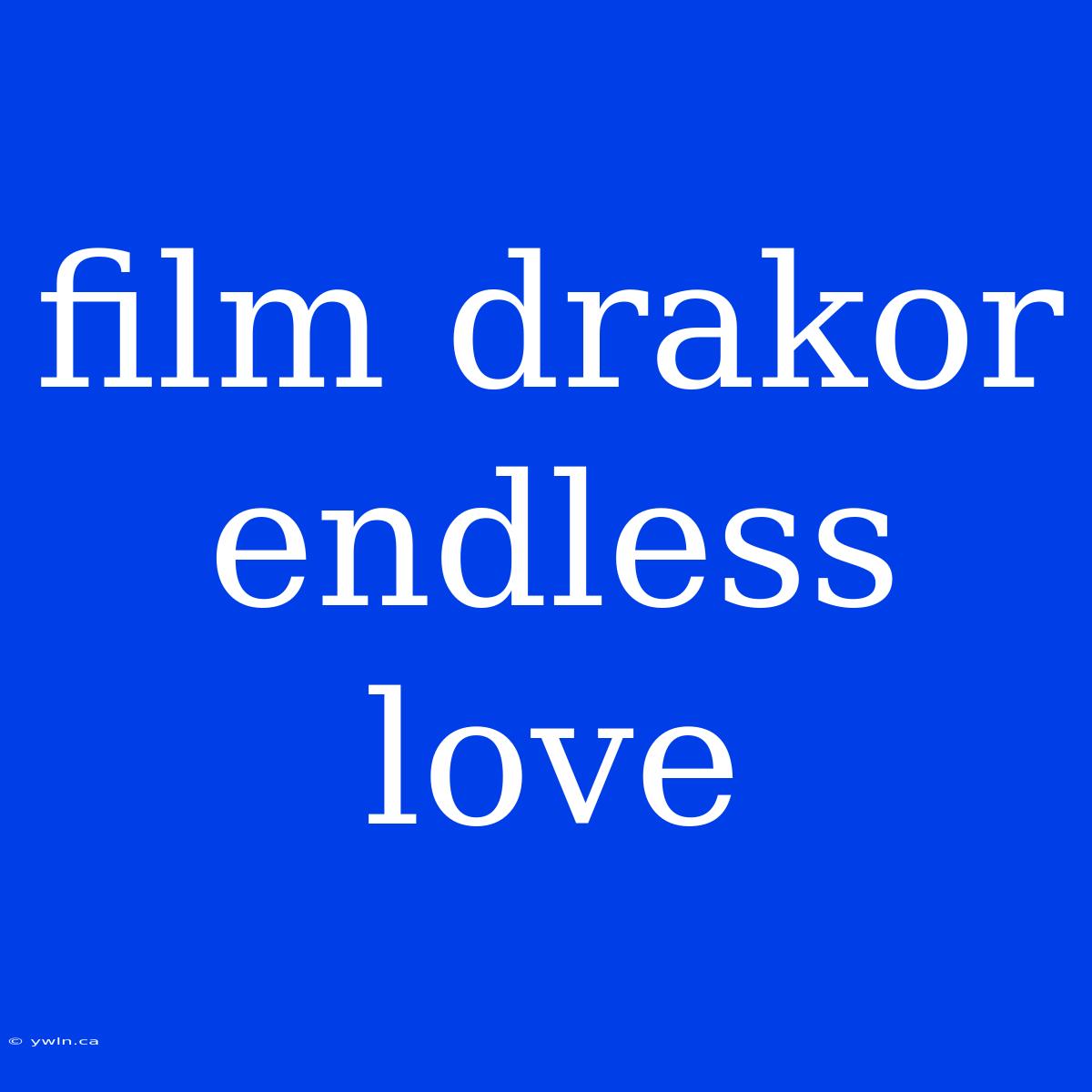 Film Drakor Endless Love