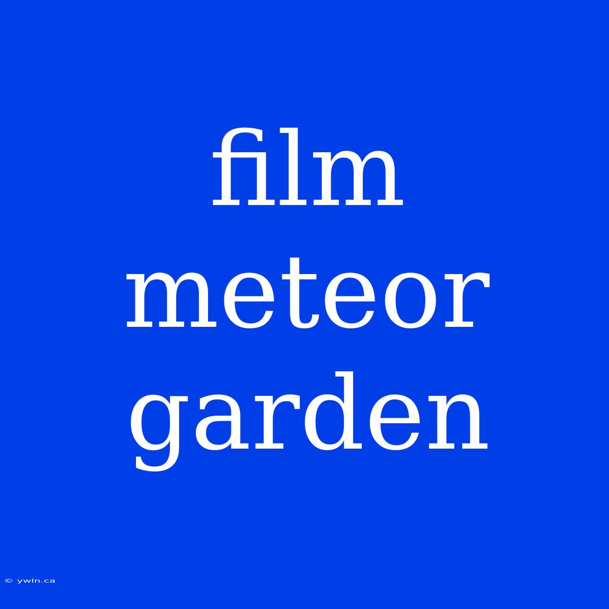 Film Meteor Garden