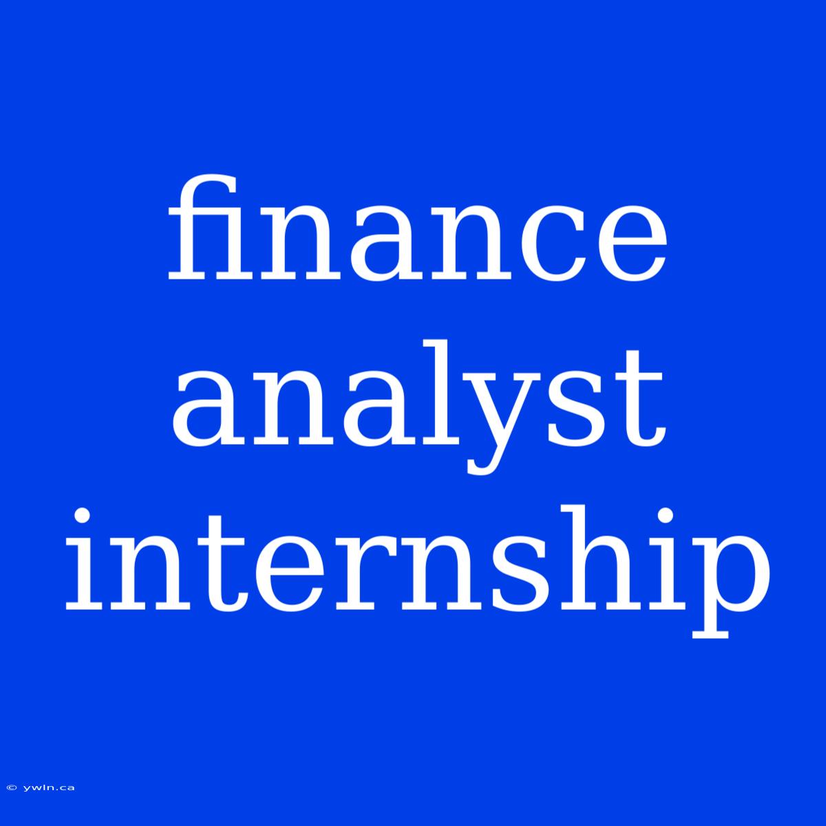 Finance Analyst Internship