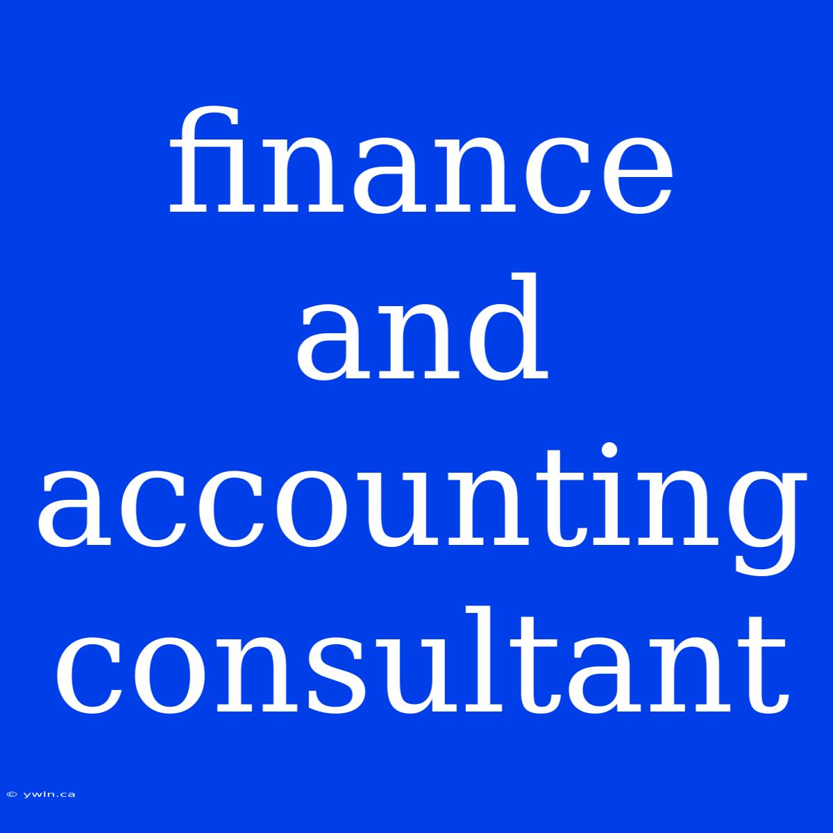 Finance And Accounting Consultant