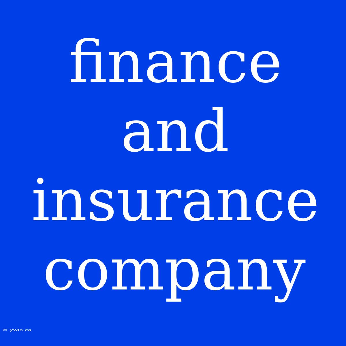 Finance And Insurance Company