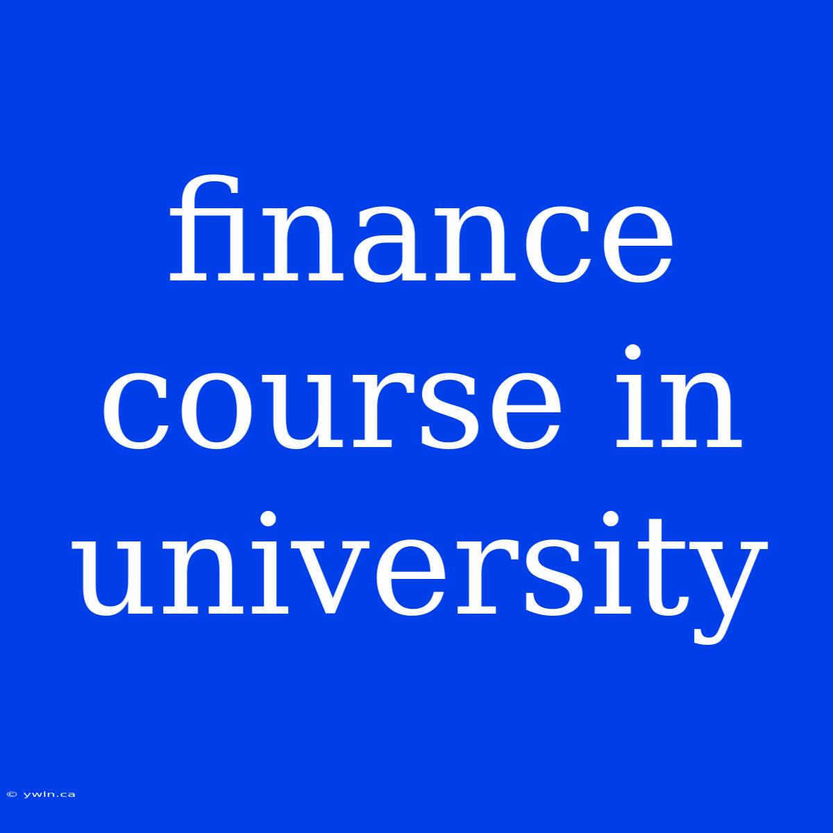 Finance Course In University