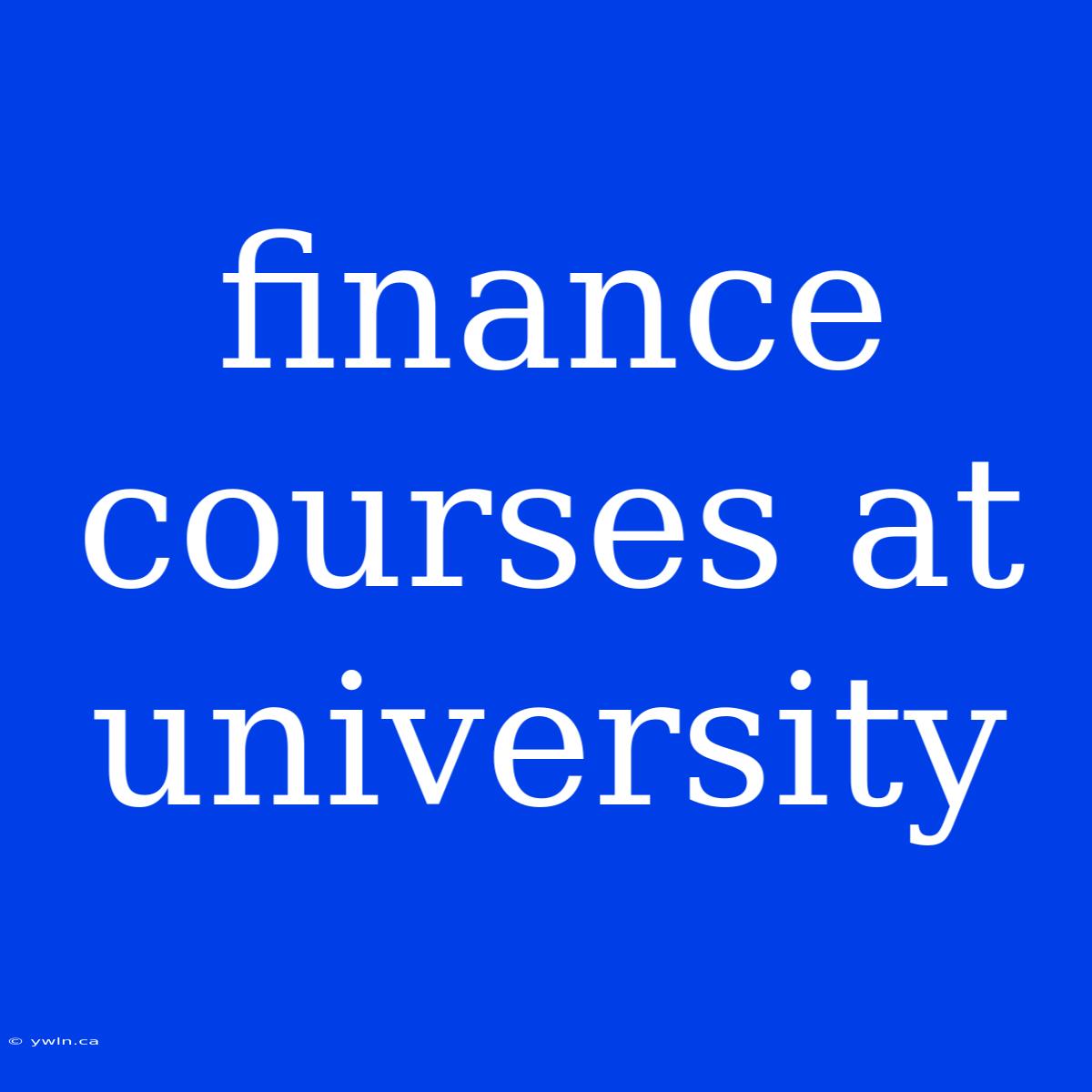 Finance Courses At University