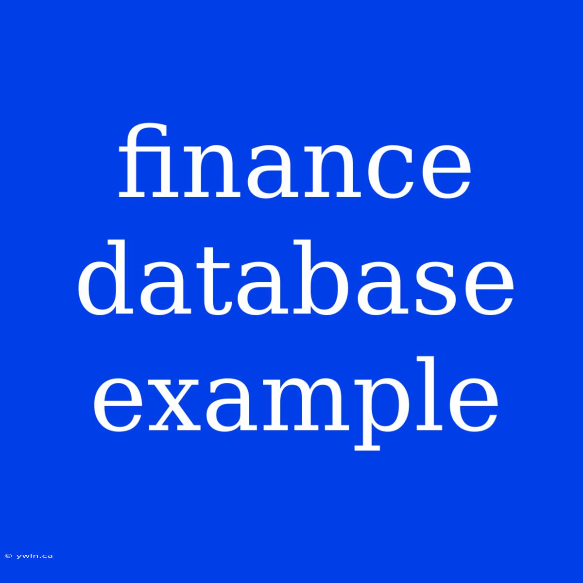 Finance Database Example