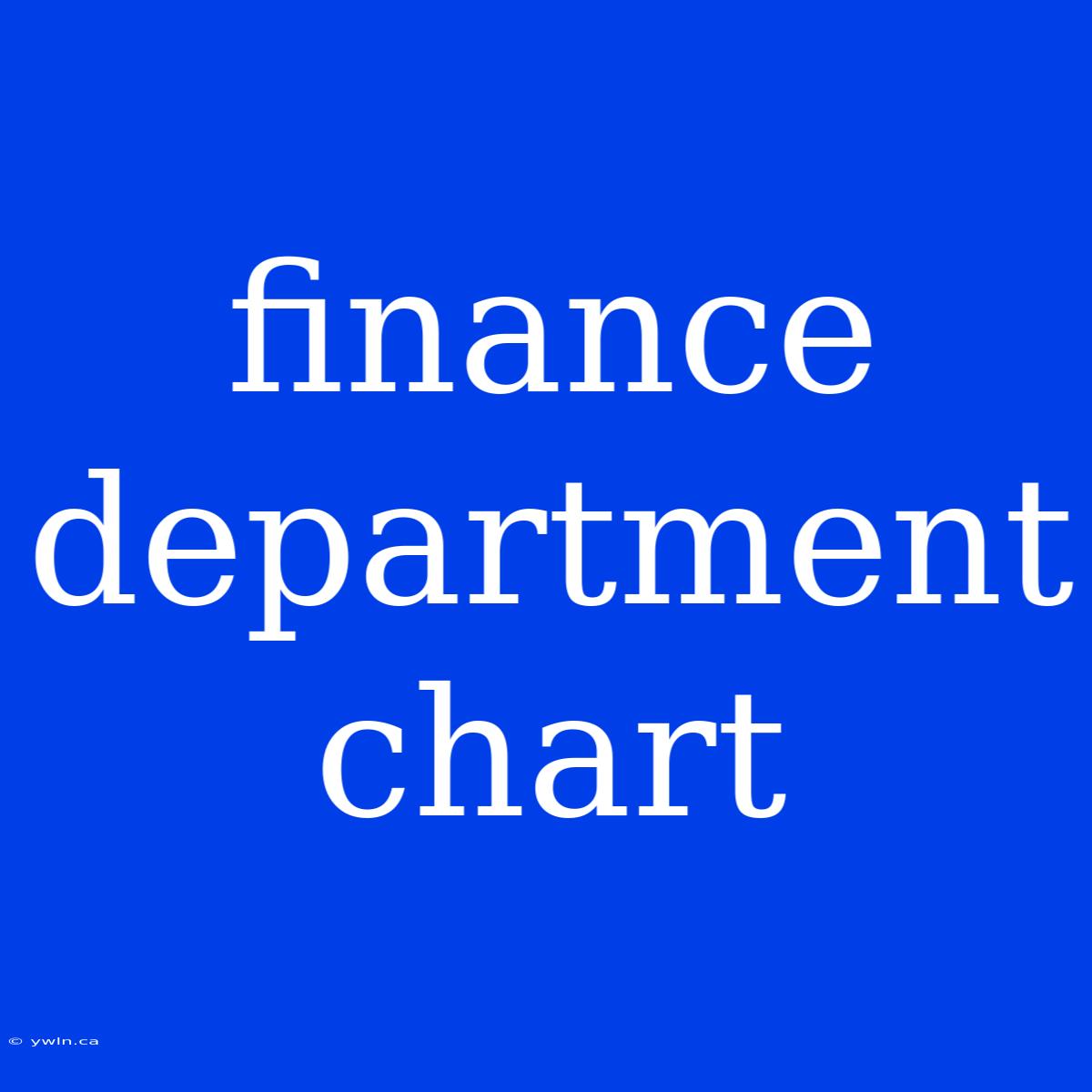 Finance Department Chart