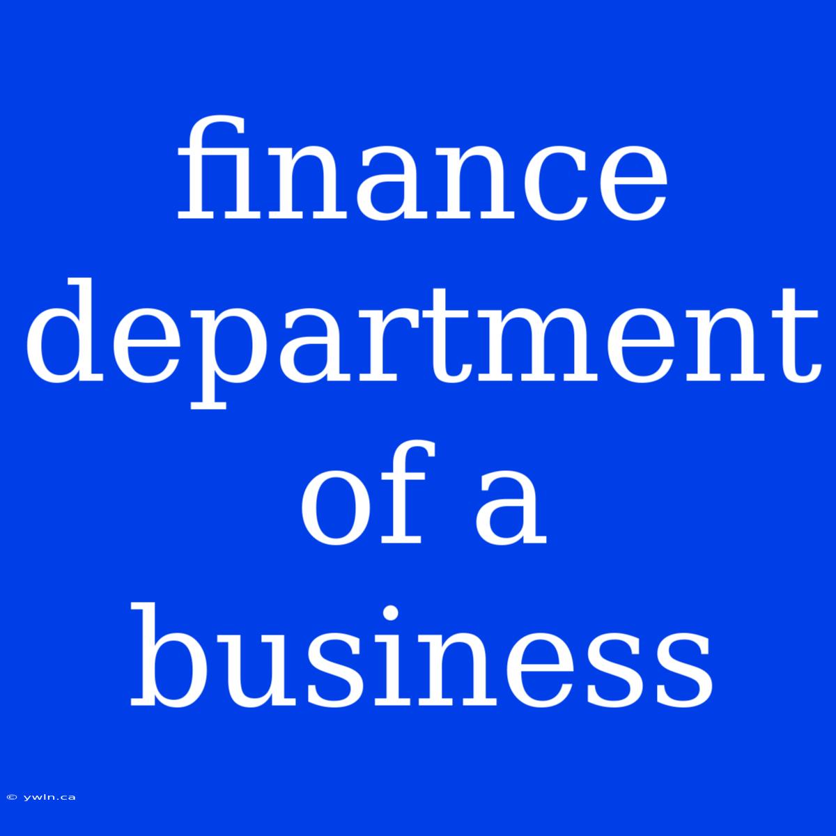 Finance Department Of A Business