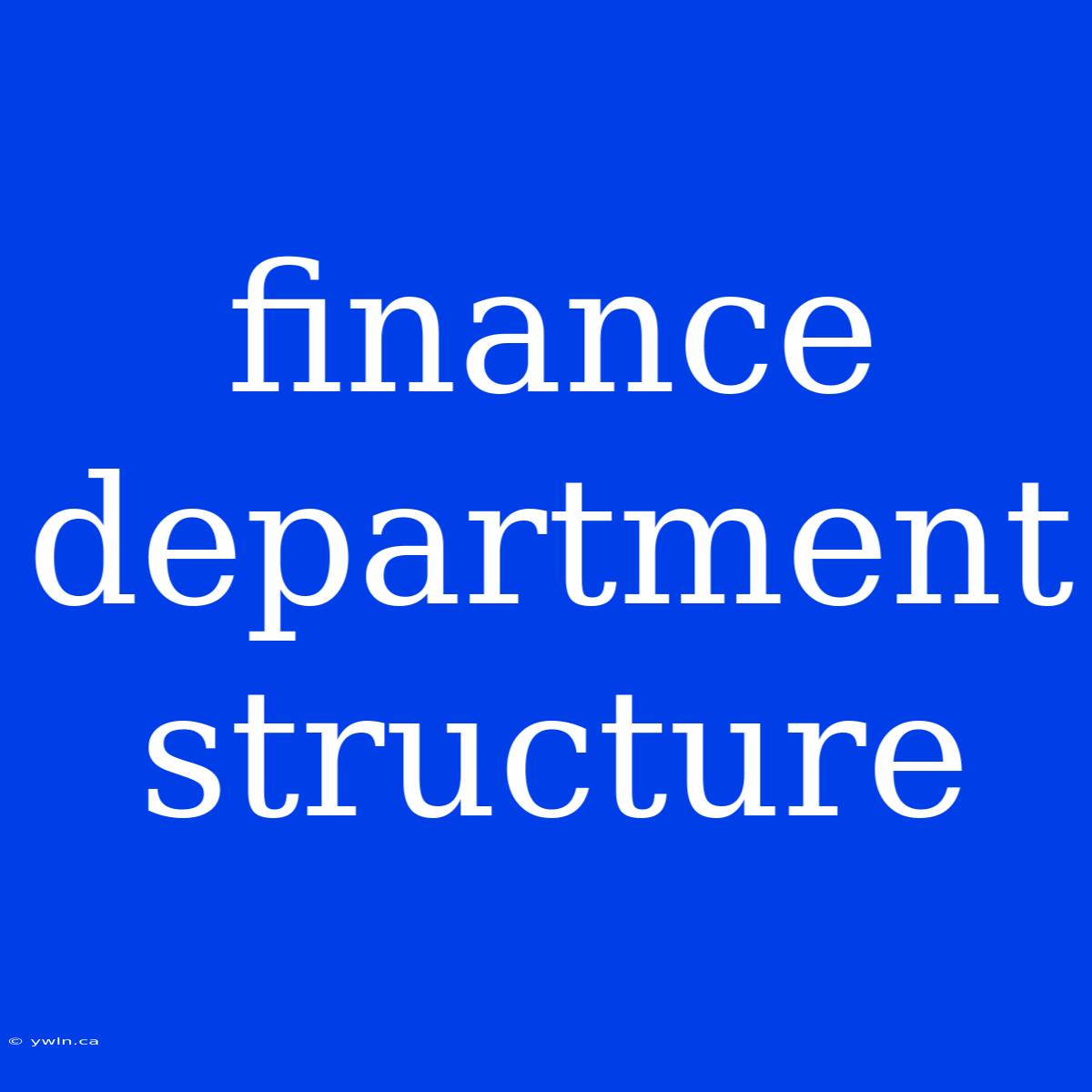 Finance Department Structure