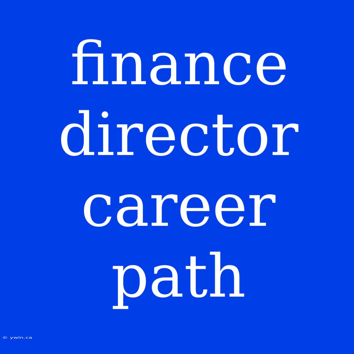 Finance Director Career Path