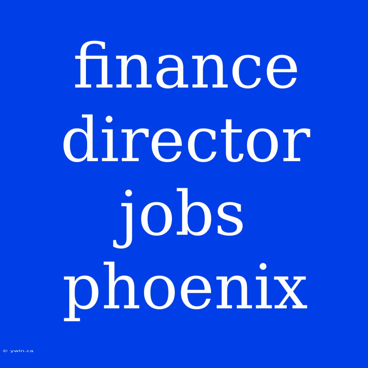 Finance Director Jobs Phoenix