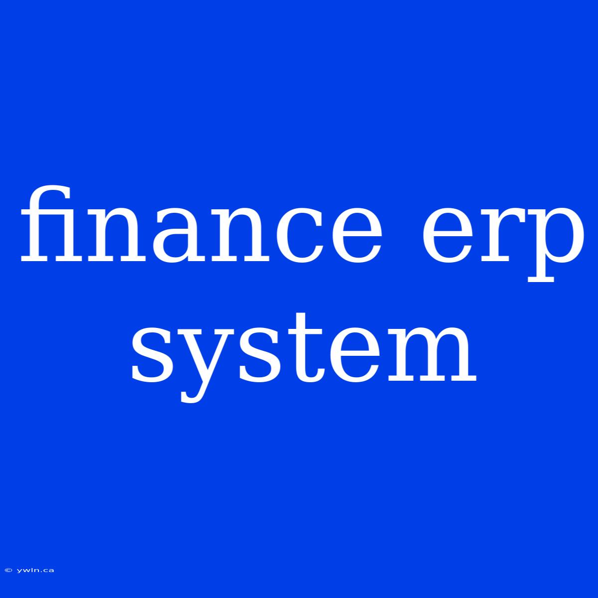 Finance Erp System