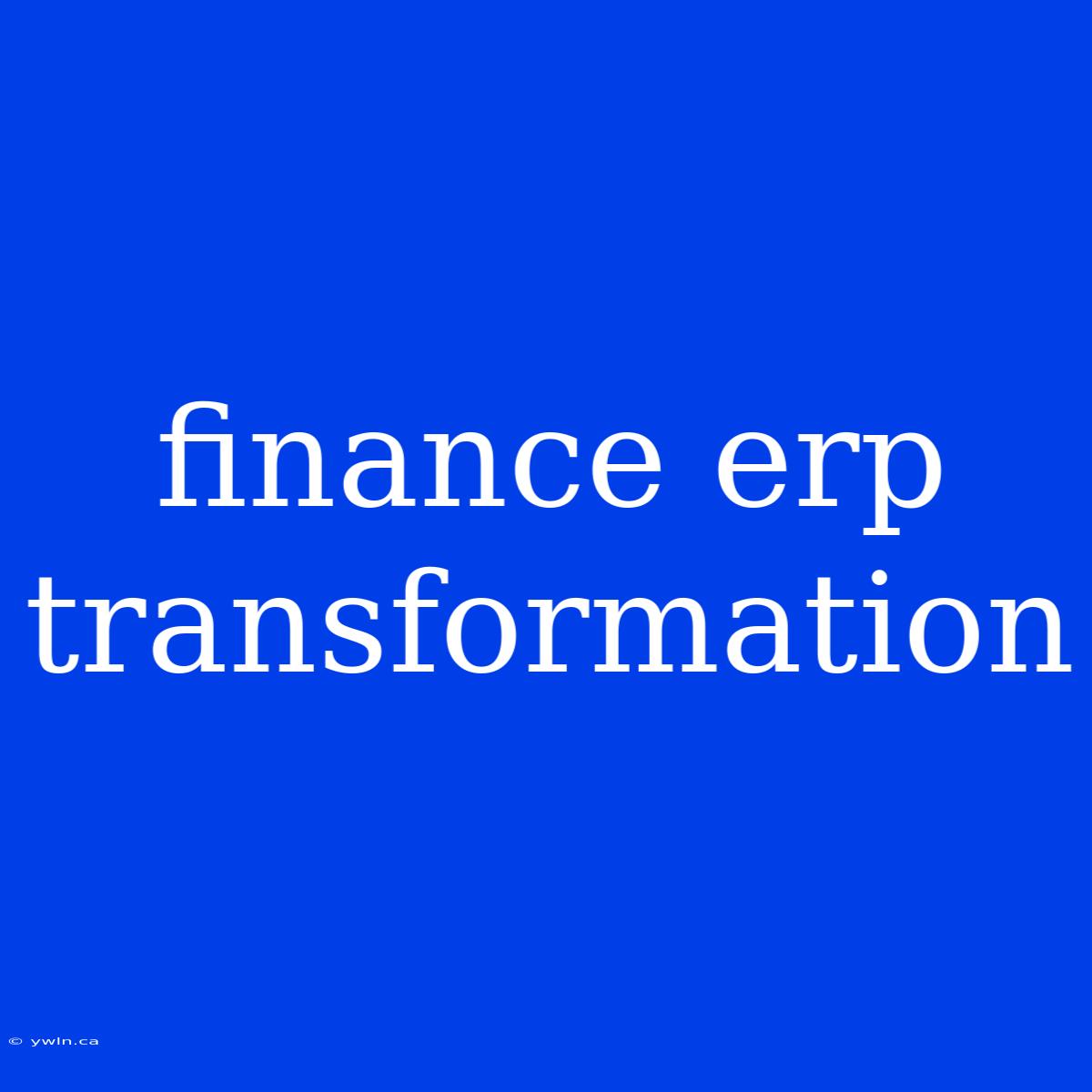 Finance Erp Transformation