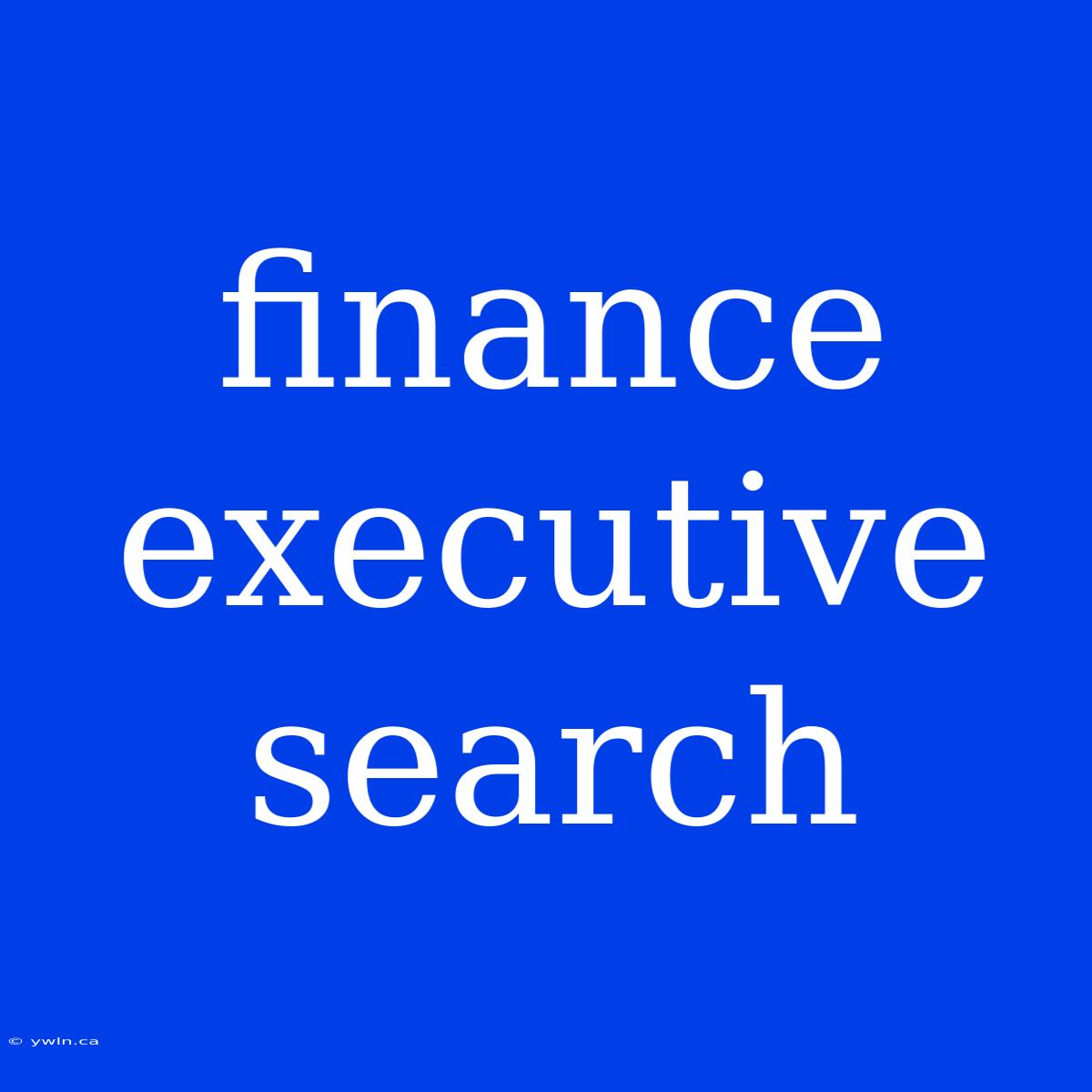 Finance Executive Search