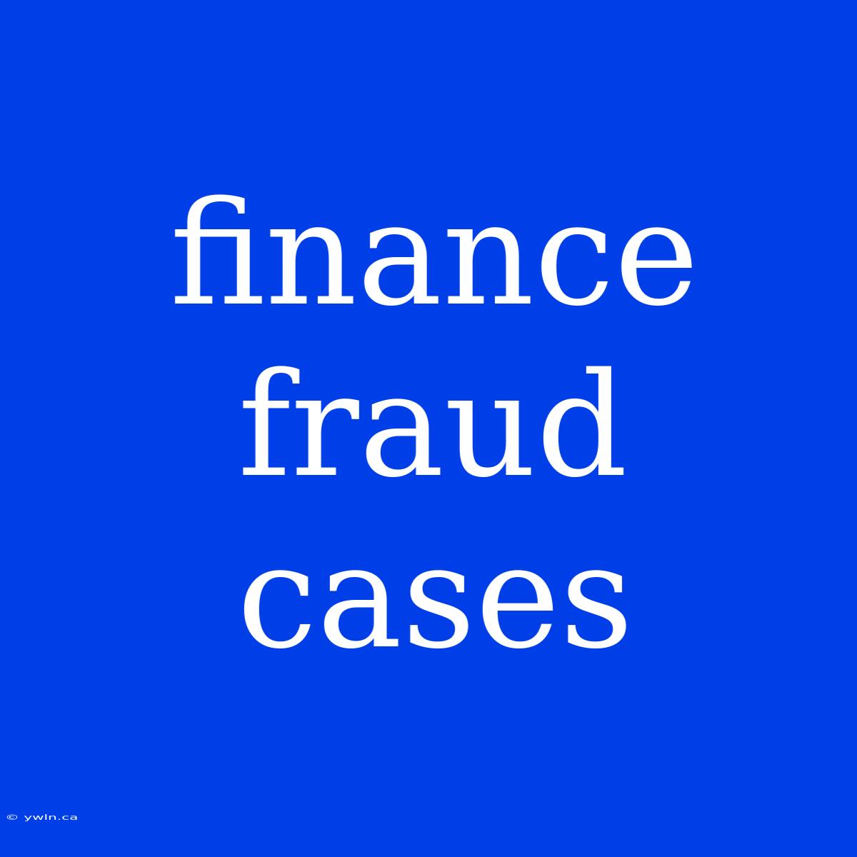 Finance Fraud Cases