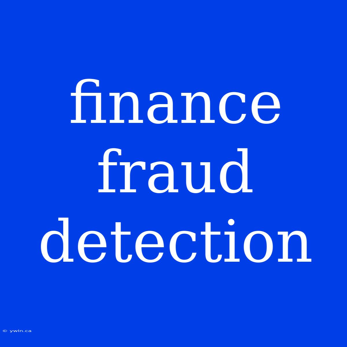 Finance Fraud Detection