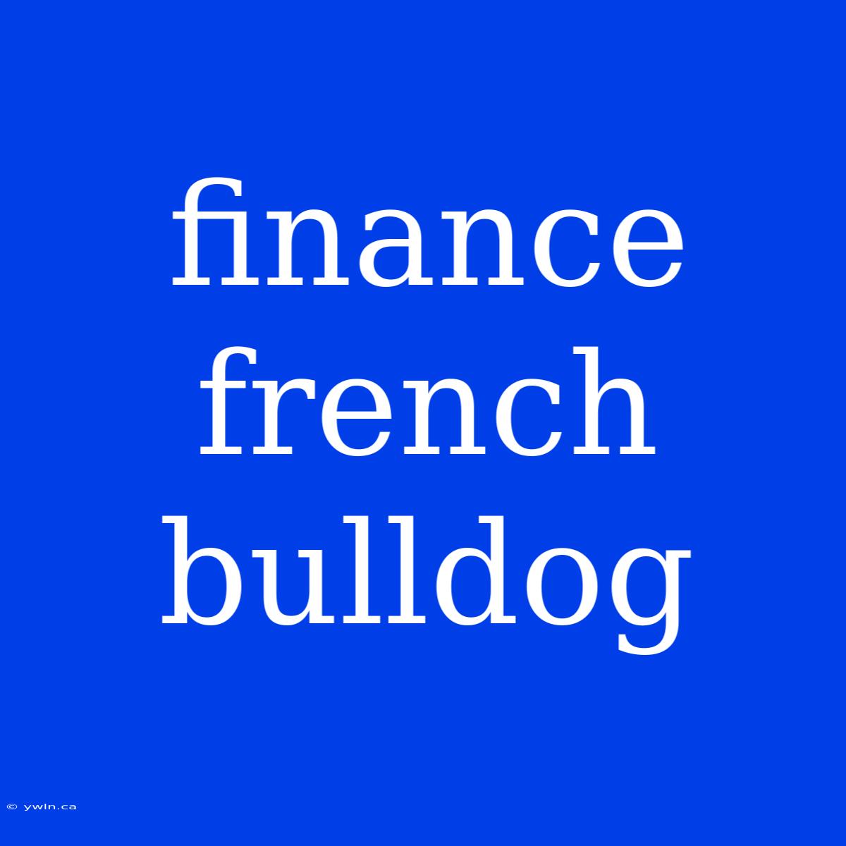 Finance French Bulldog