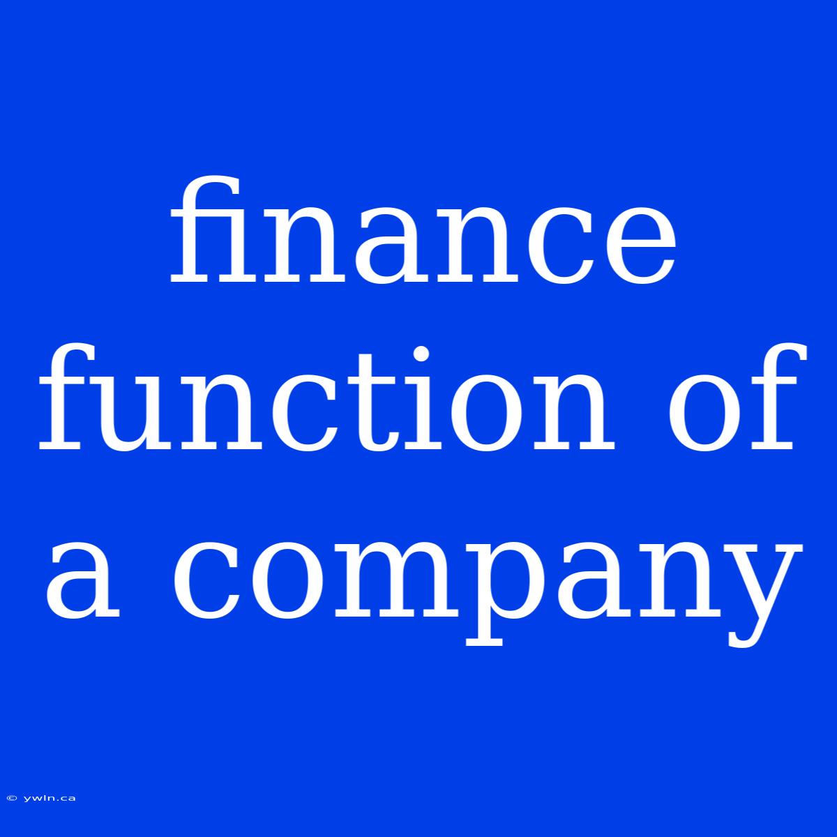 Finance Function Of A Company