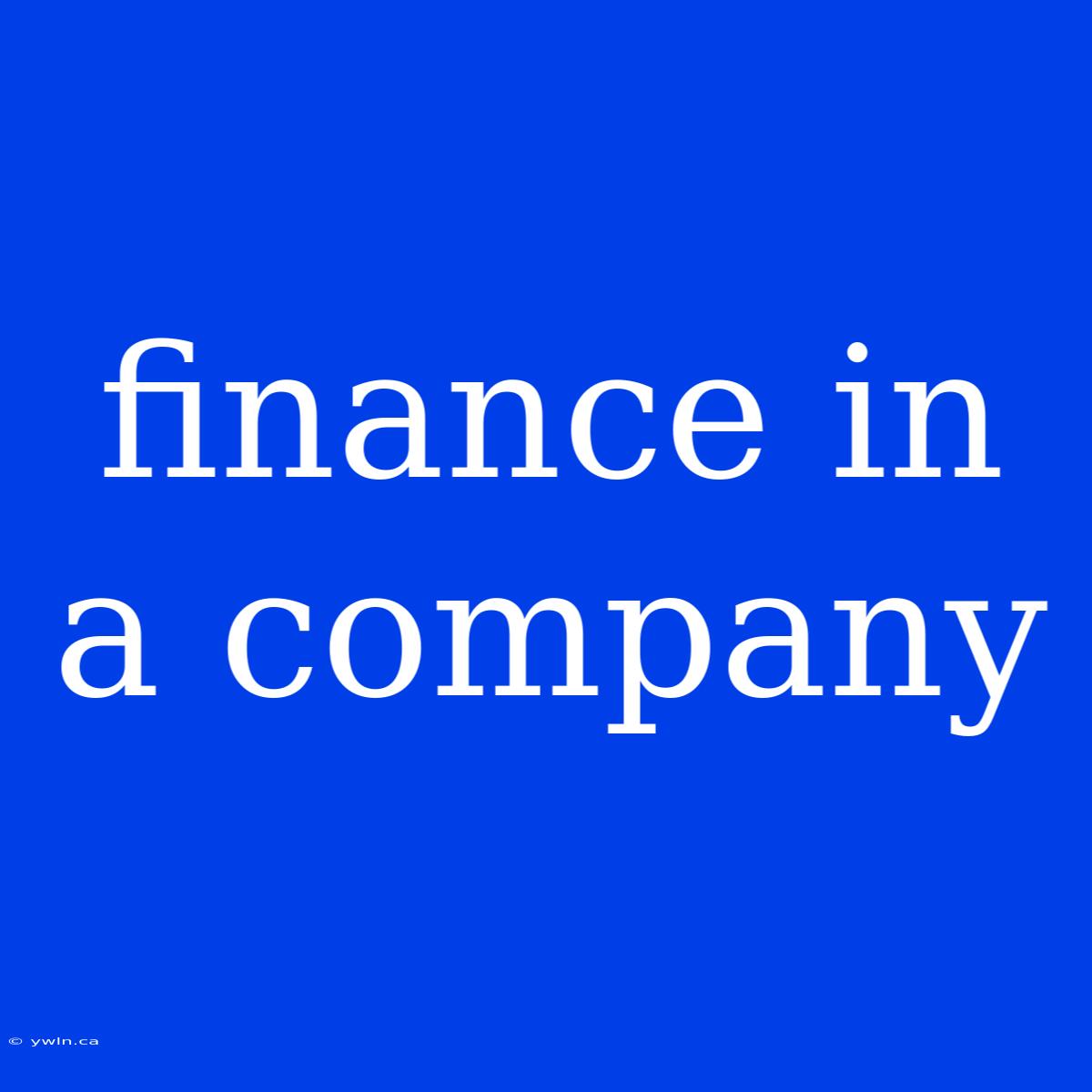 Finance In A Company