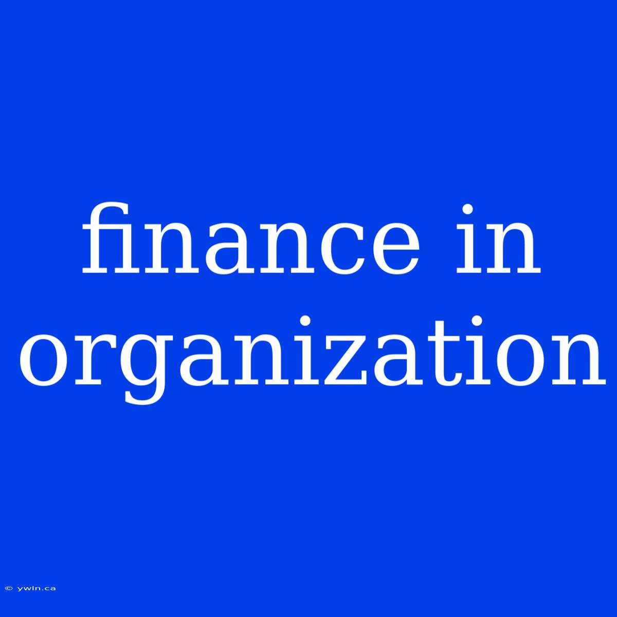 Finance In Organization