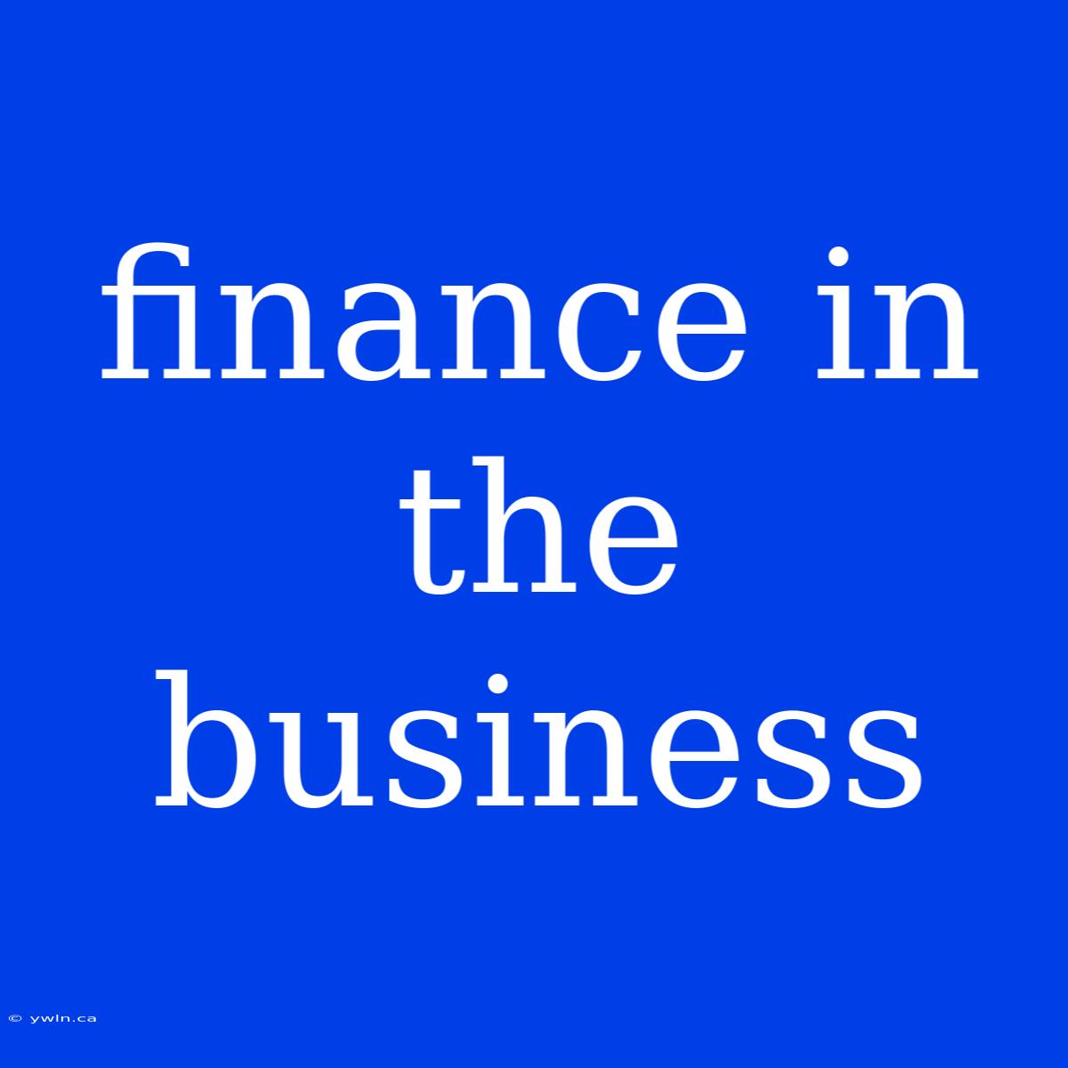 Finance In The Business