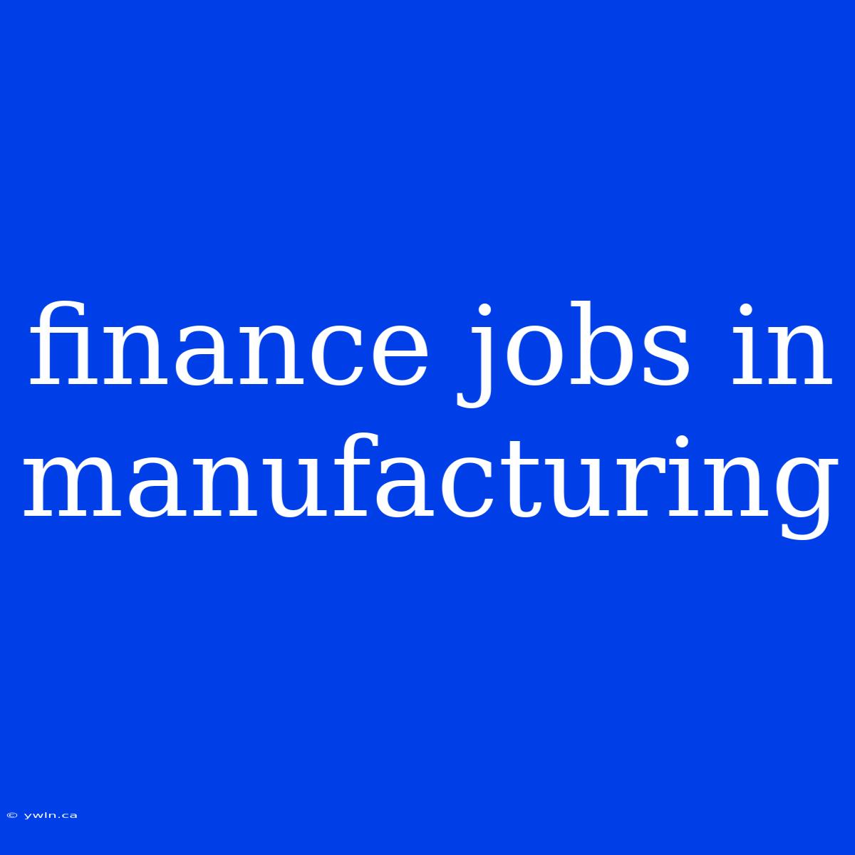 Finance Jobs In Manufacturing