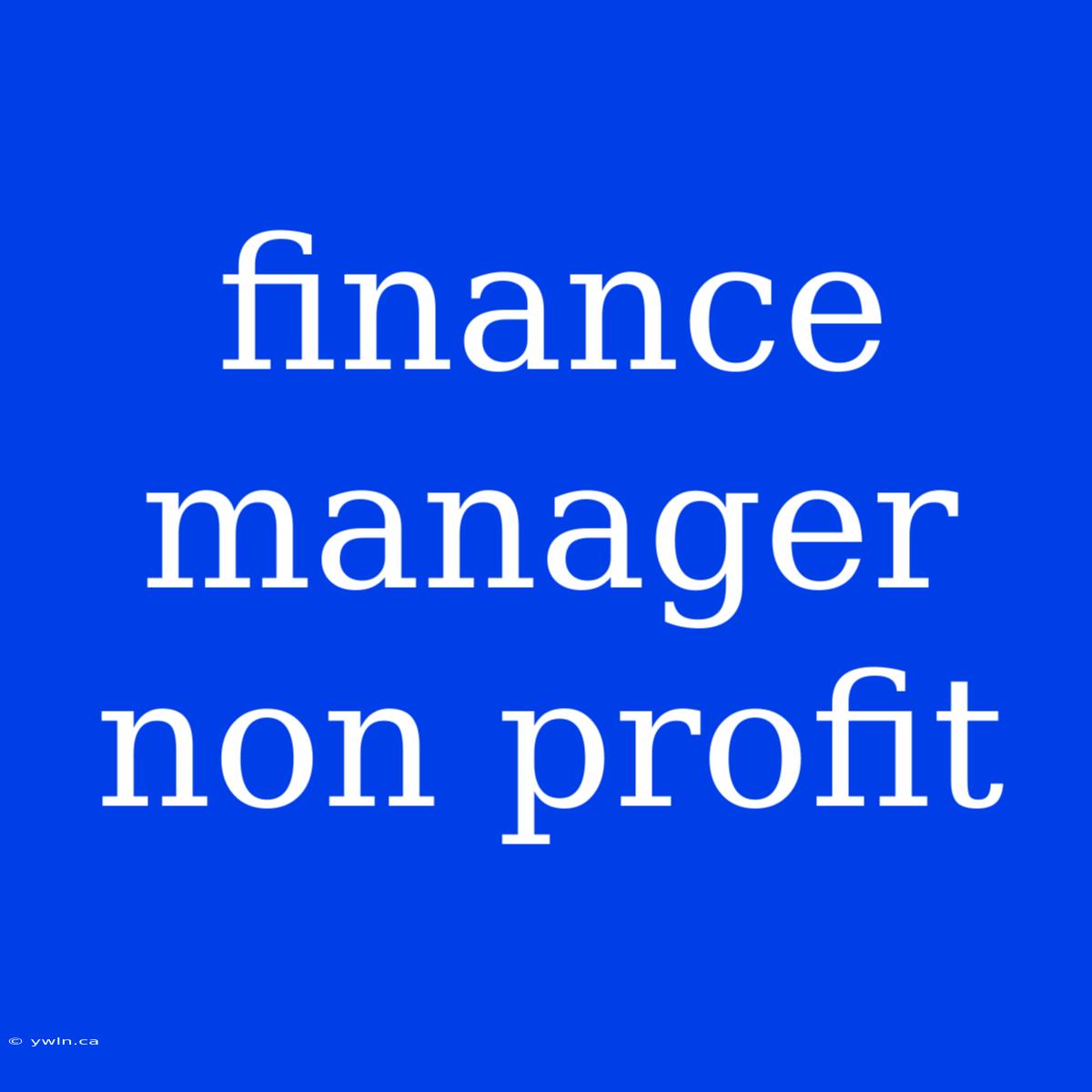 Finance Manager Non Profit