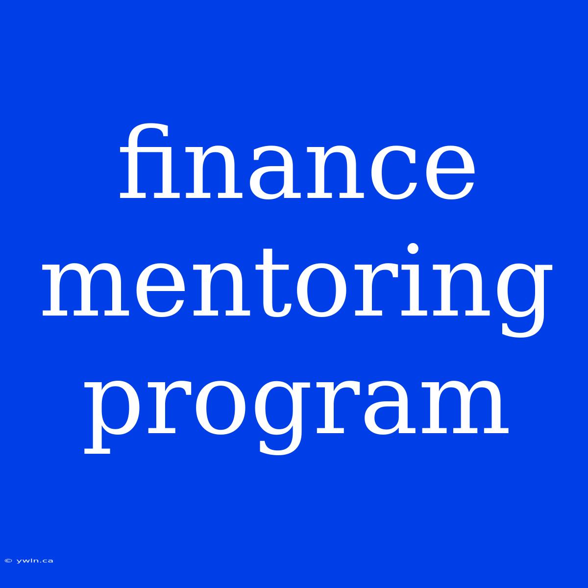 Finance Mentoring Program