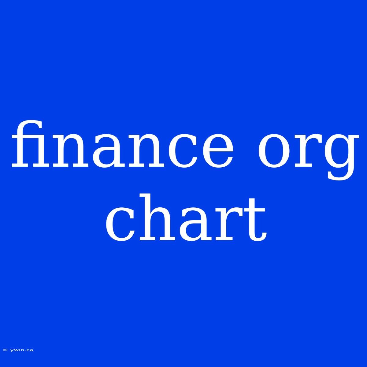 Finance Org Chart