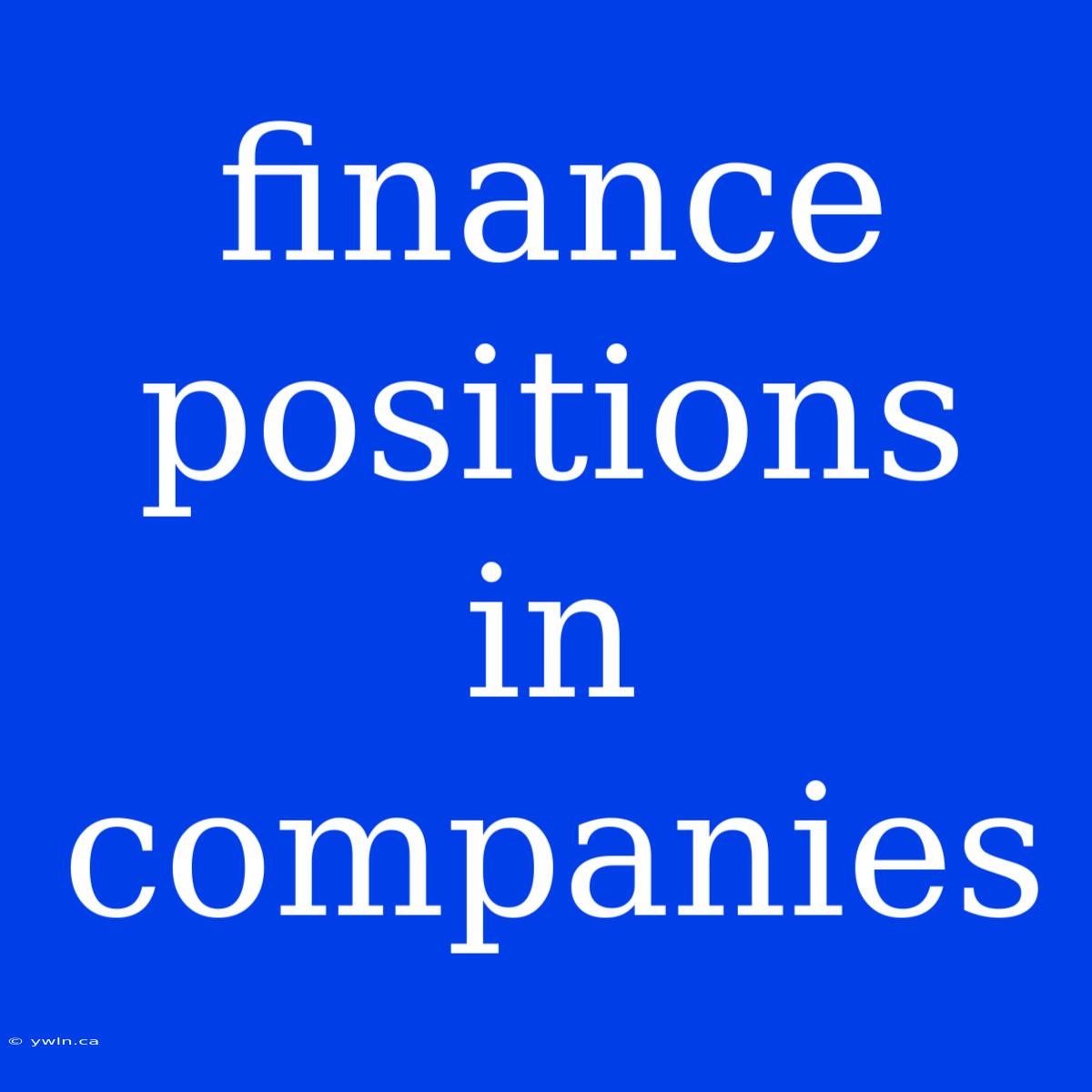 Finance Positions In Companies