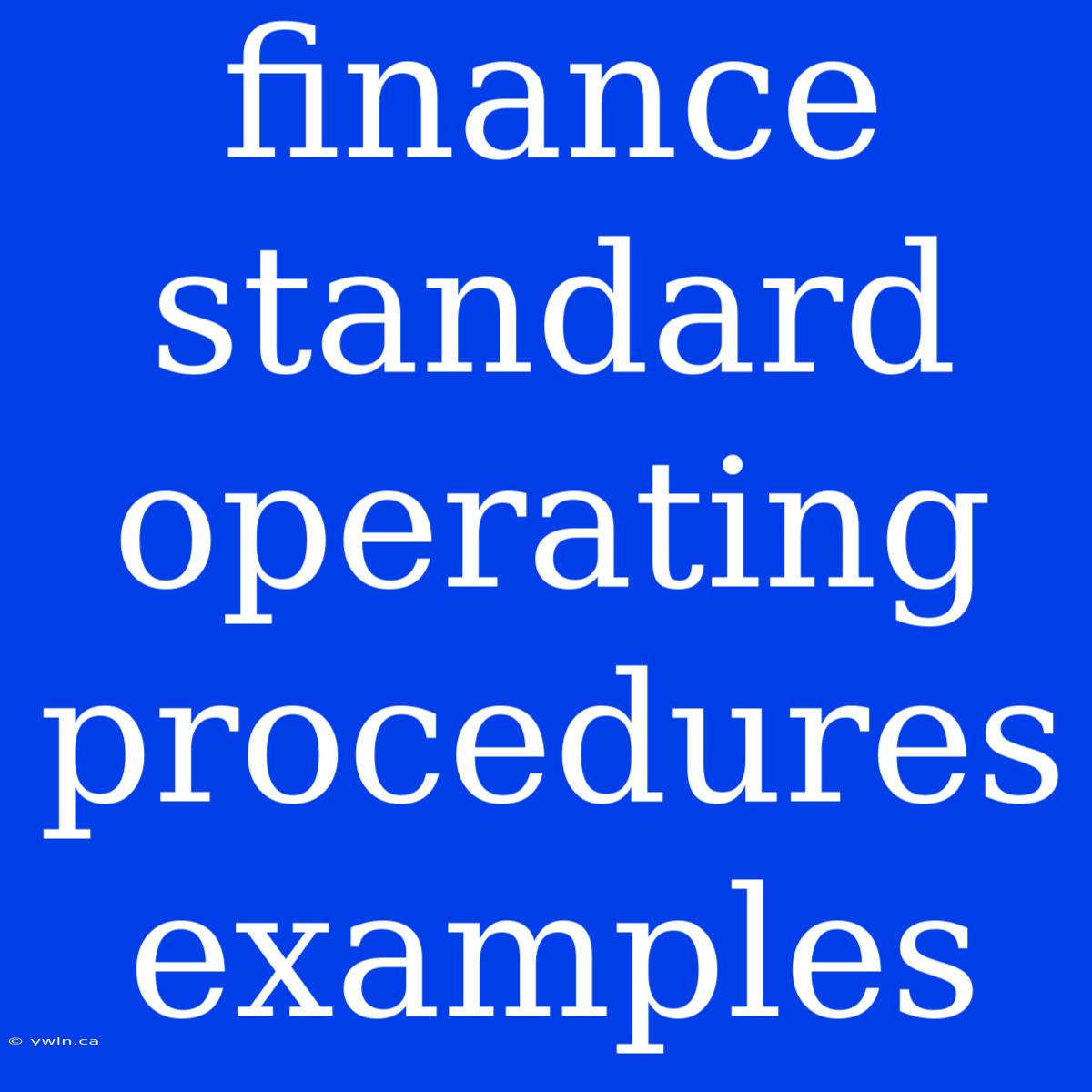 Finance Standard Operating Procedures Examples