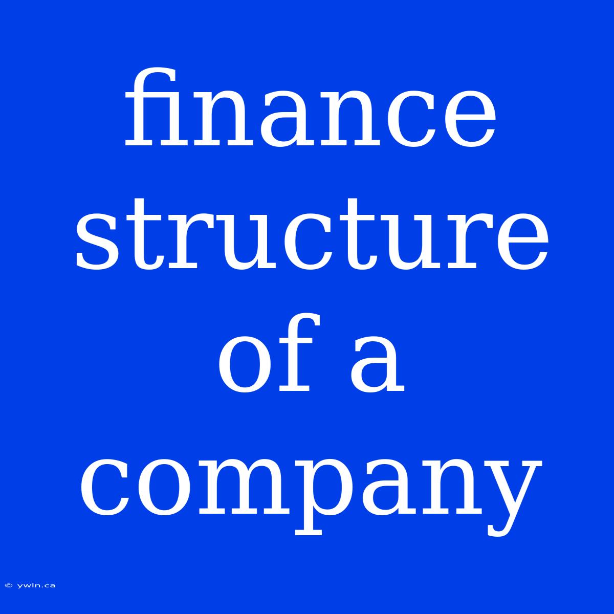 Finance Structure Of A Company